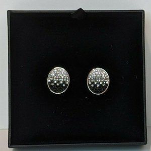 Mary Kay Crystal Black/Silver/White Ombre Earrings